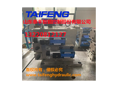 山东泰丰智能控制315吨压力机用二通插装阀设计制造图2