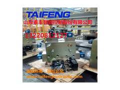 山东泰丰差动100T主缸系统YZ32-100BCV-00R图2