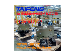 山东泰丰差动100T主缸系统YZ32-100BCV-00R图3