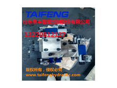 山东泰丰液压100T折弯机阀板B46.3-4B图2