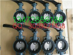 原装正品德国艾瑞ARI蒸汽止回阀图3