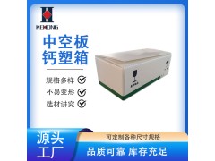 按需定制折叠钙塑箱 PP中空板折叠箱 防水防潮 经久耐用图2