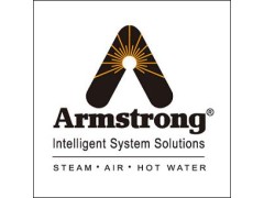 阿姆斯壮BD16截止阀 进口BD-25美国截止阀图2